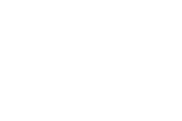revista matrimonial